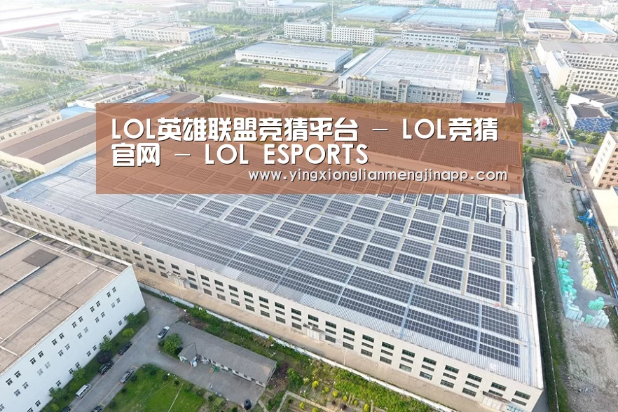 案例展示二