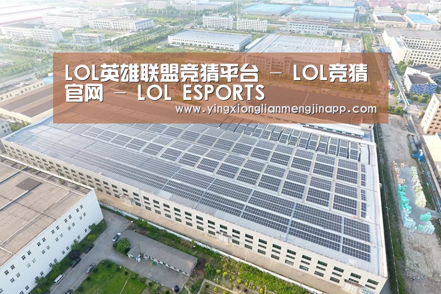 案例展示一