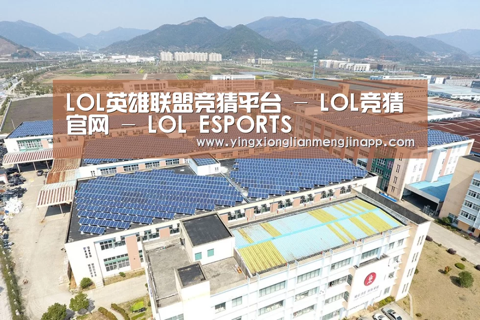 案例展示二