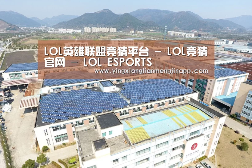 案例展示四