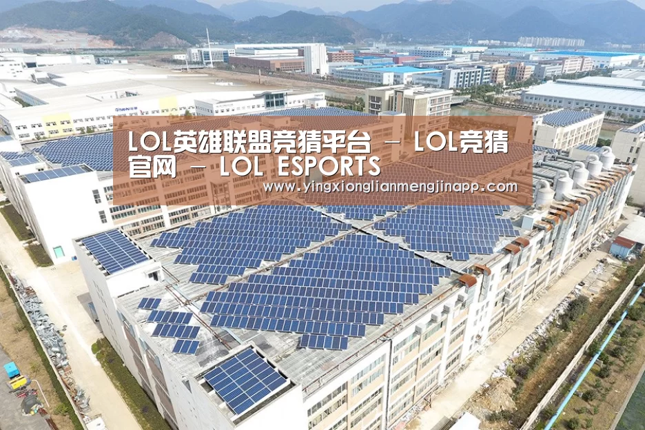 案例展示三