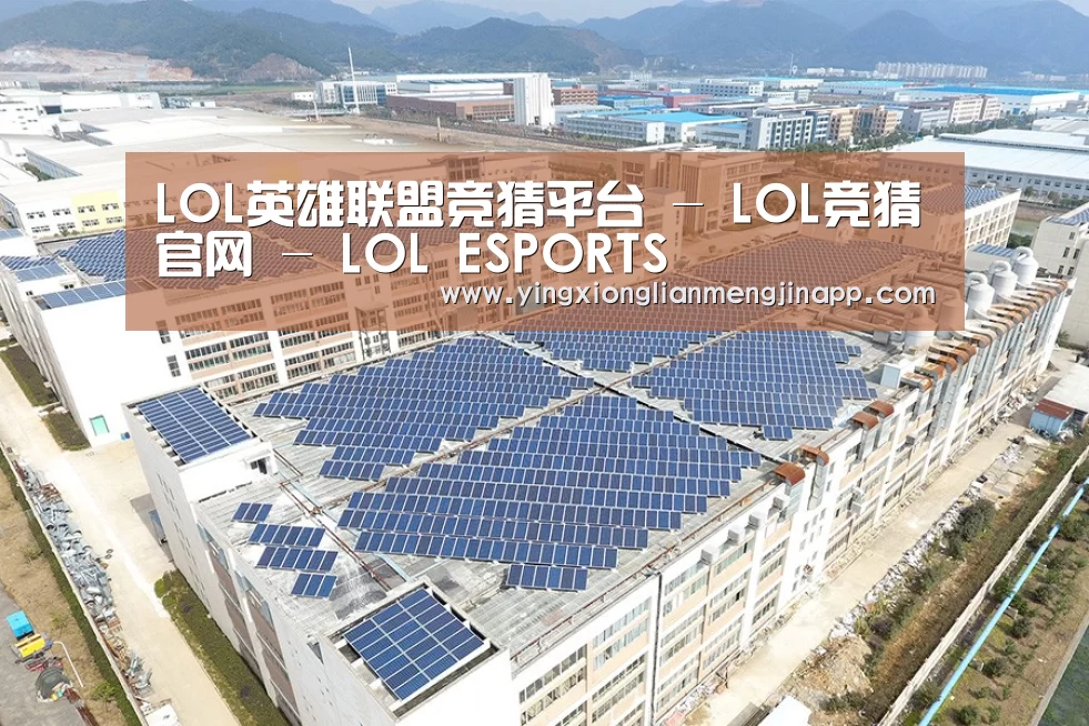 案例展示四