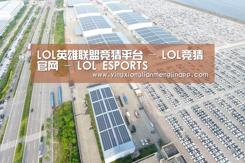 案例展示一