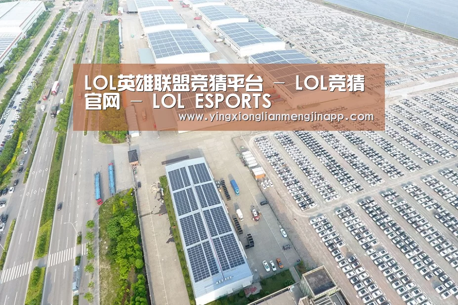 案例展示四