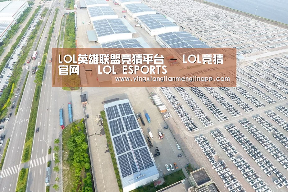 案例展示三