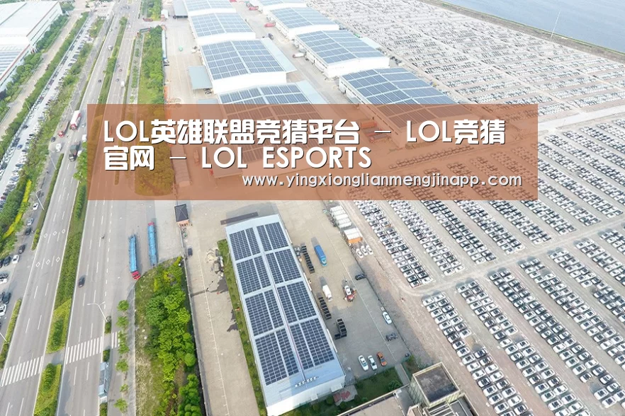 案例展示二