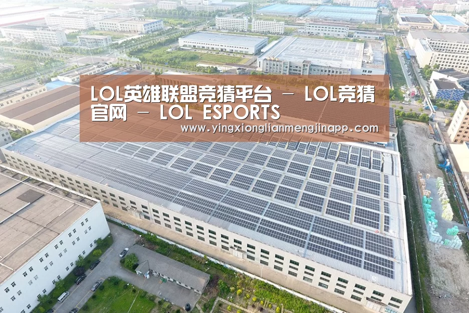 案例展示四