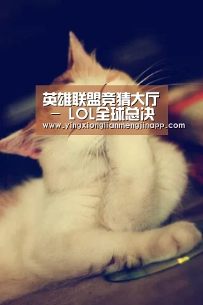 英雄联盟竞猜大厅 - LOL全球总决赛下注官方网站下载_KPL第六周最佳下路英雄刘邦 全图支援统御全场(图3) 英雄联盟竞猜大厅 - LOL全球总决赛下注官方网站